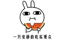 在线吃瓜的意思,揭秘“在线吃瓜”背后的社交现象